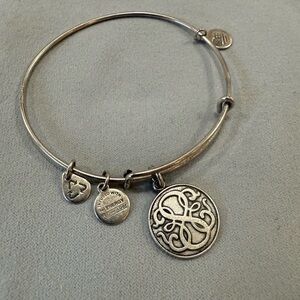 Alex and Ani Rafaelian Silver Charm Bangle Bracelet